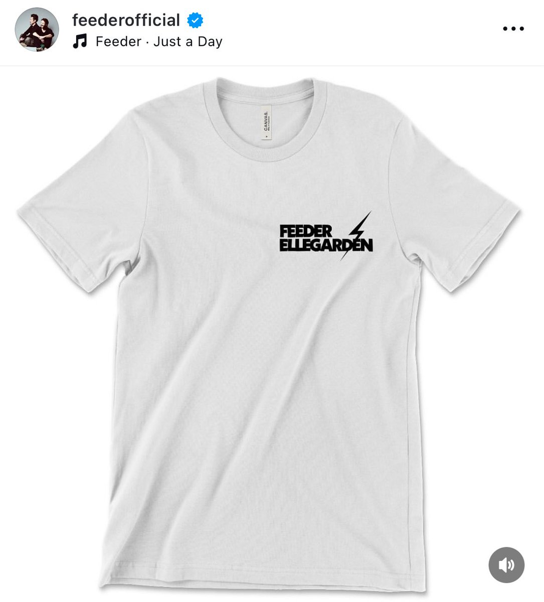 FEEDER x ELLEGARDEN Tシャツ XL ELLEGARDEN / FEEDER Tシャツ Lサイズ