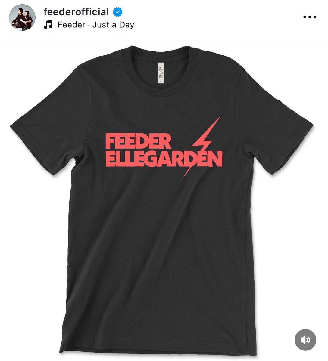 FEEDER x ELLEGARDEN Tシャツ XL ELLEGARDEN / FEEDER Tシャツ Lサイズ