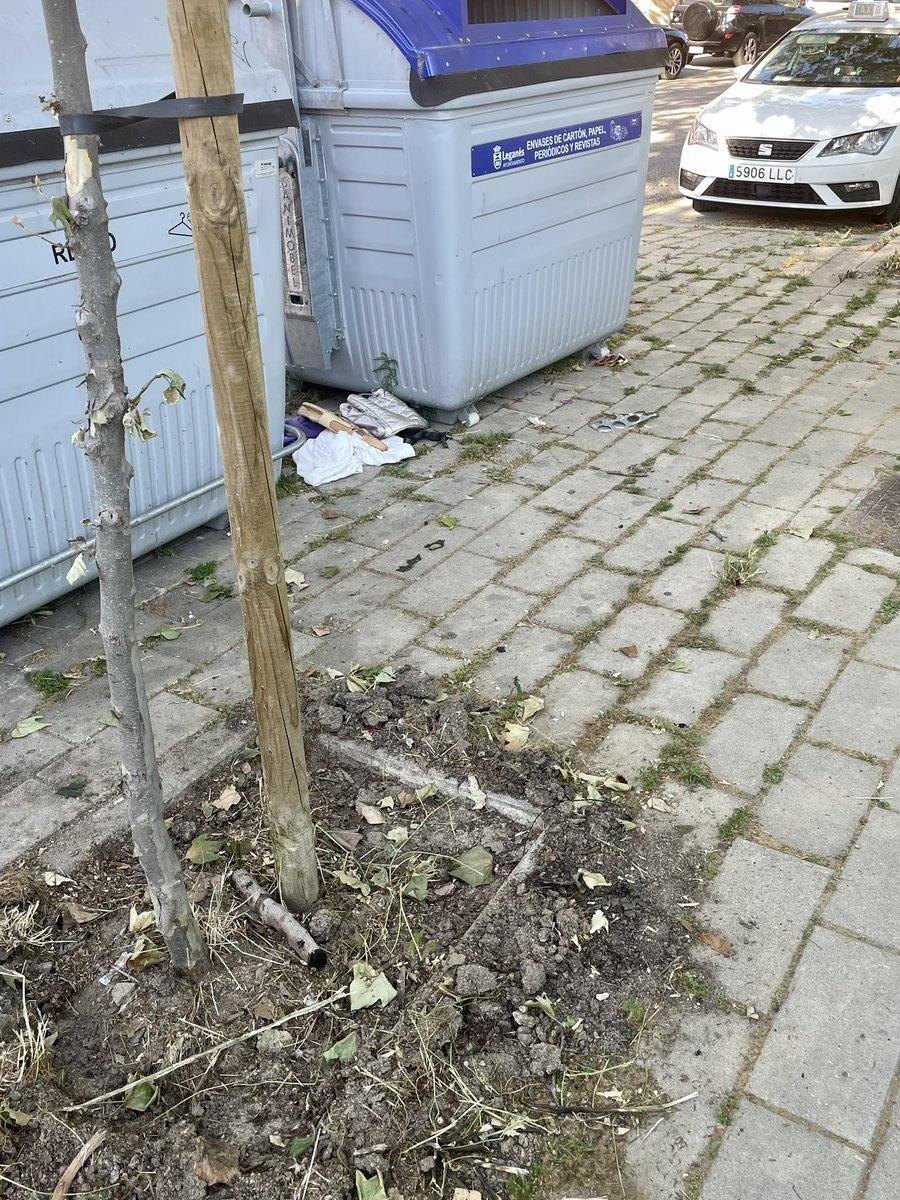 Chema Ballesteros tweet media