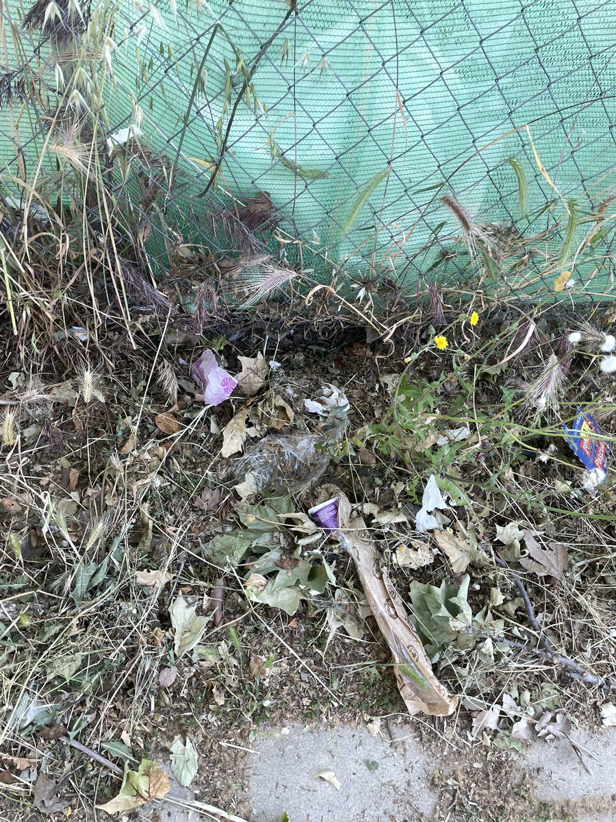 Chema Ballesteros tweet media