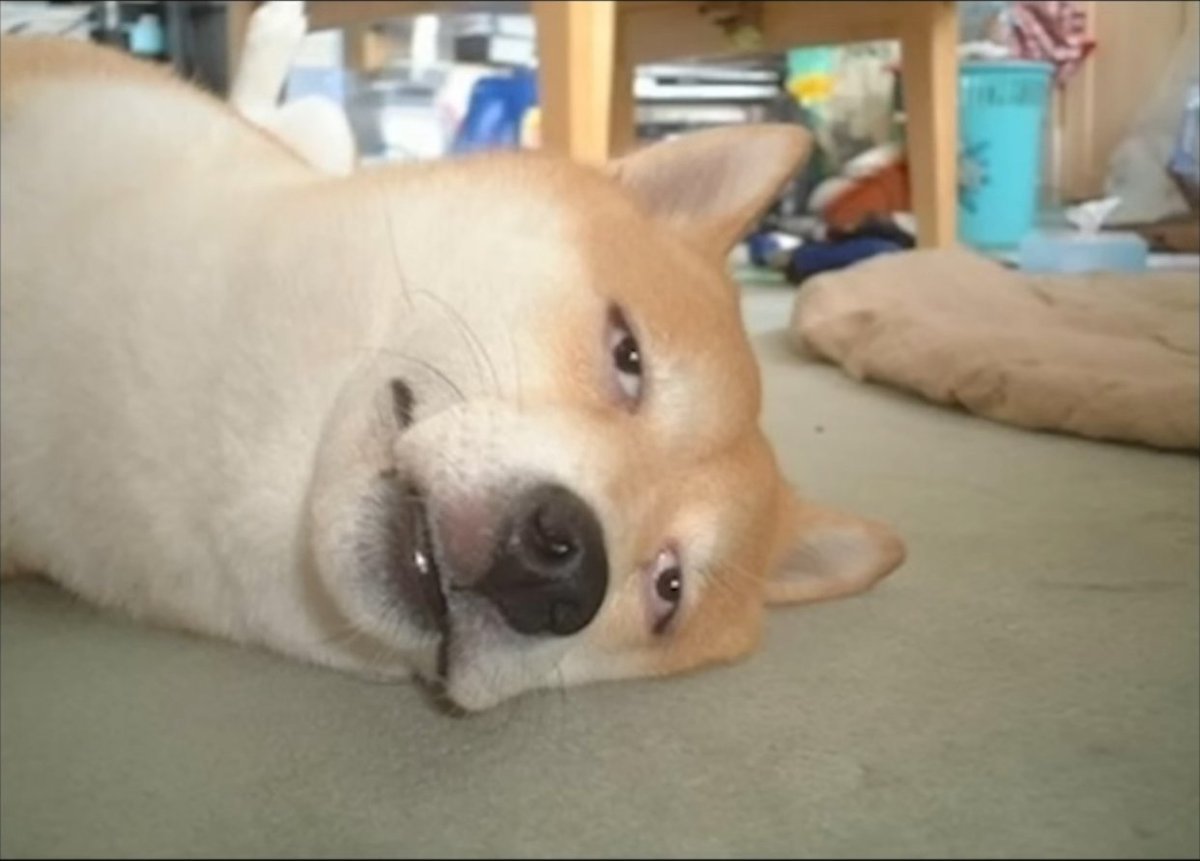 errorcode264's tweet image. 그림을 그려야 되는데 기력이 없음이..