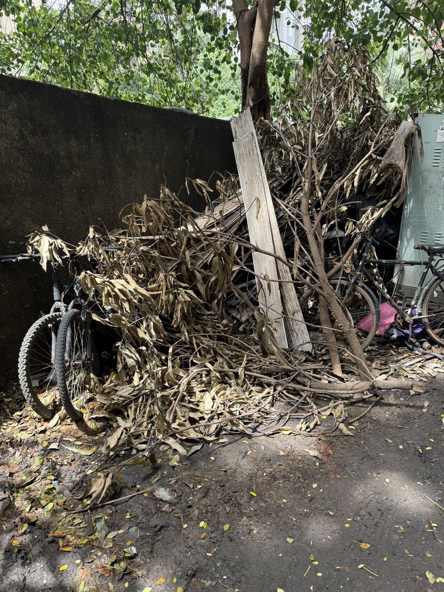 Samir Choughule | समीर चौघुले tweet media