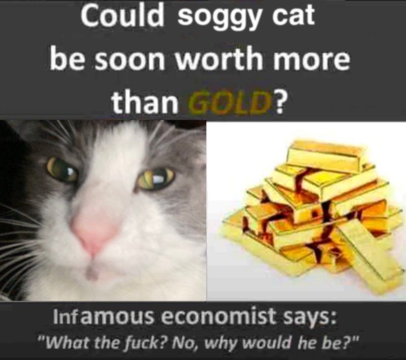 could soggy cat soon be worth more than gold ?