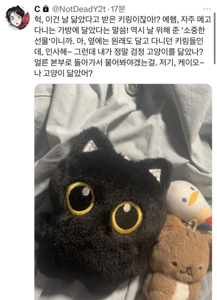 ⓒ 쌍룡 님

🐈‍⬛🐈‍⬛