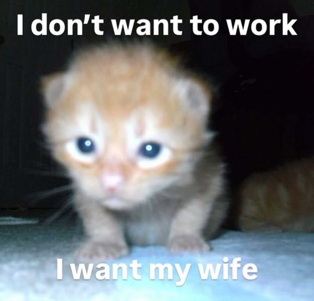 SyntaxSnark's tweet image. 😭😭😭