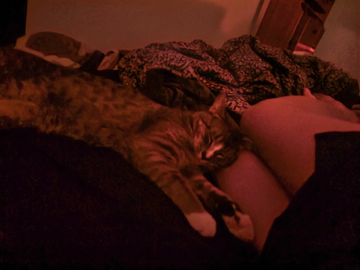 I love my boy cuddles. 🥰