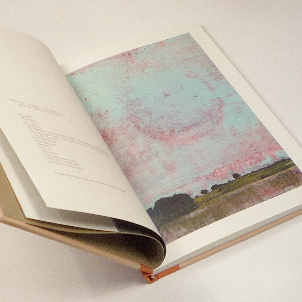 rlgransden's tweet image. Delighted to present a new edition of Figures Crossing the Field Towards the Group, released today by @TangerinePress.

Three editions: thetangerinepress.com/FICTION/RG-FCT…

A pilgrimage. An England in delirium.