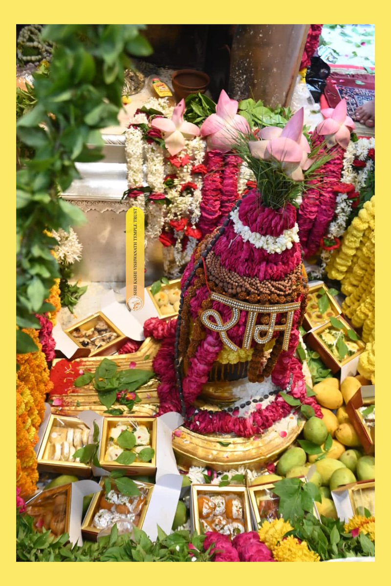 ShriVishwanath's tweet photo. श्री काशी विश्वनाथ जी की मध्यान्ह-भोग आरती I
#kashi #darshan #kashivishwanath #VishwanathDham #blessings https://t.co/j7gs0qiQGG