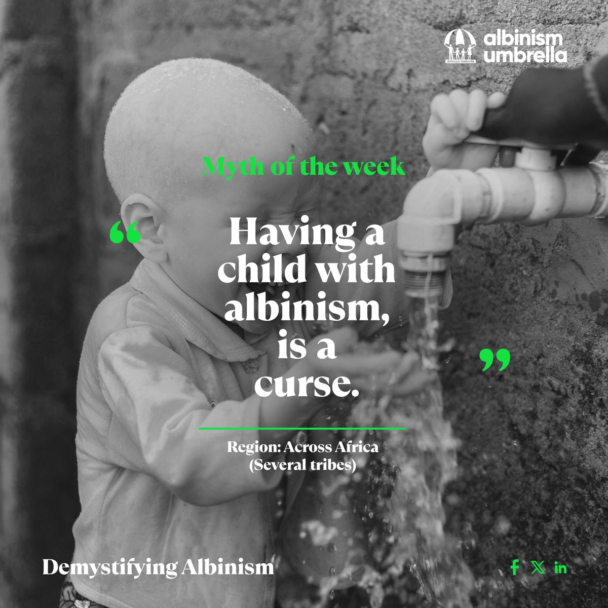 Albinism Umbrella tweet media