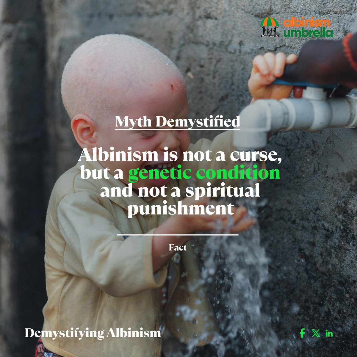 Albinism Umbrella tweet media