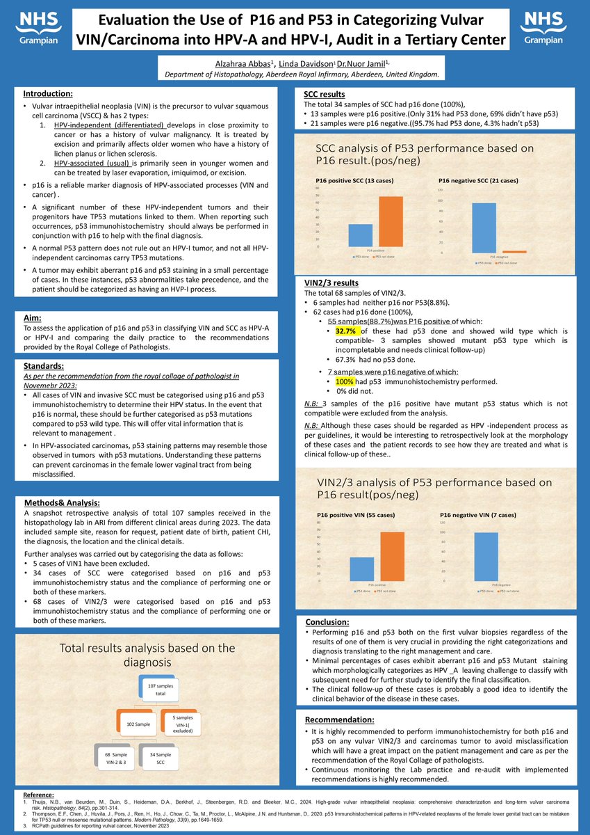 Evaluation the Use of P16 and P53 in Categorizing Vulvar VIN/Carcinoma into HPV-A and HPV-I, Audit in a Tertiary Center #HilaryBuckleyAward #BAGP2025
