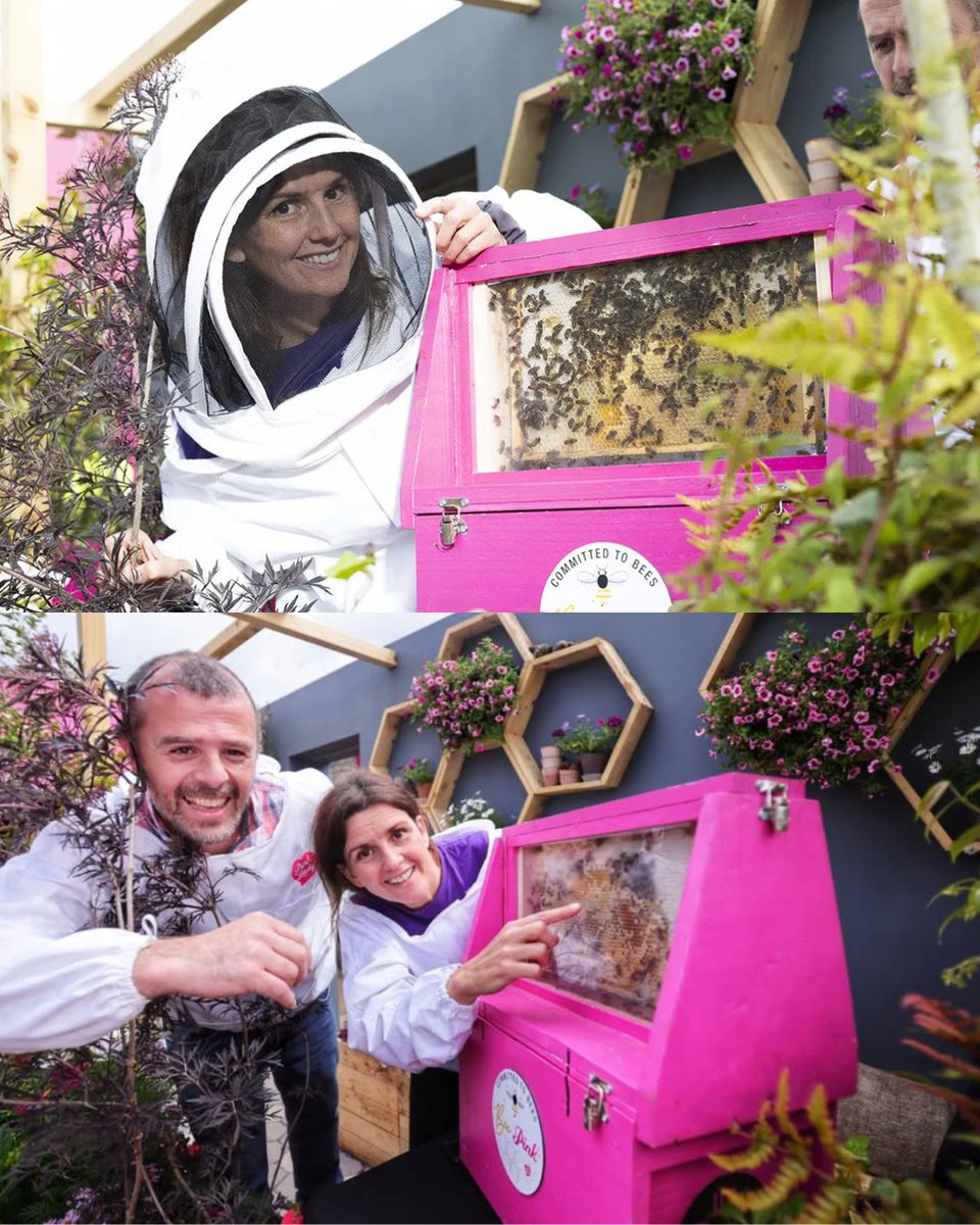 Pink Lady® Europe has officially landed at <a href="/BordBiaBloom/">Bloom</a>, and we’ve been busy behind the scenes bringing their brand world to life in glorious colour and crunch 🐝🍎🪴

We love building bold brand activations that get people talking (and tasting) and this one is no exception 🫶🏼