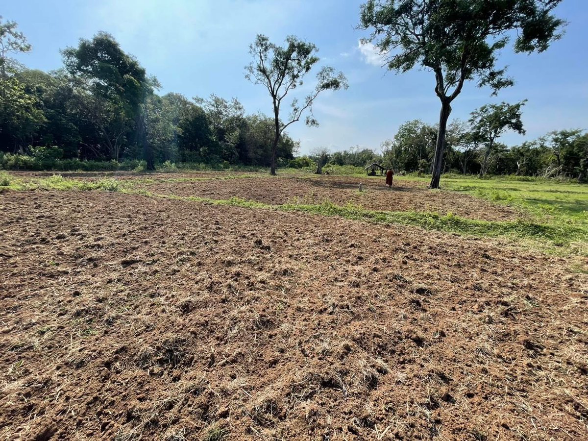 kumanan93's tweet photo. 🚨 Two Tamil farmers from #Kurunthoormalai, Mullaitivu, have been further remanded until June 7. They were arrested on May 10 while working on their own farmland, following a complaint by Buddhist monk Galgamuwa Santhabodhi Thero to the Department of Archaeology, alleging they had damaged an archaeological site.

They were initially remanded until May 15, then extended to May 29, and now again to June 7. Both the Archaeology Department and police strongly opposed bail, leading to its denial in court.