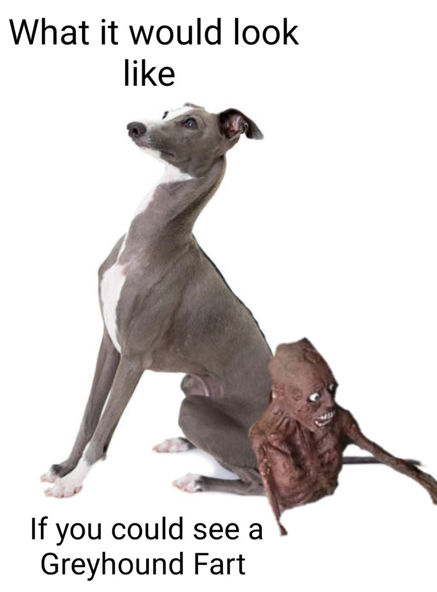 10/10 accuracy - mum