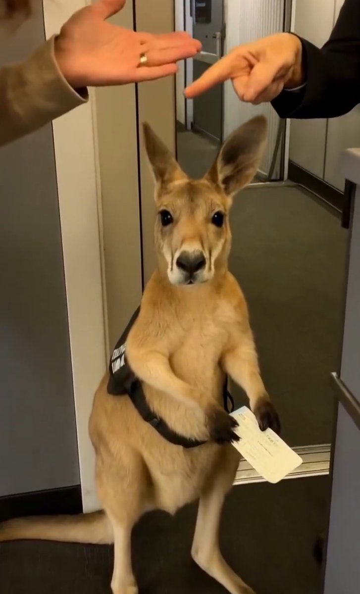 Sınav sonrası arkadaşlarla cevapları tartışırken soruyu çok yanlış anladığımı fark ediyorum