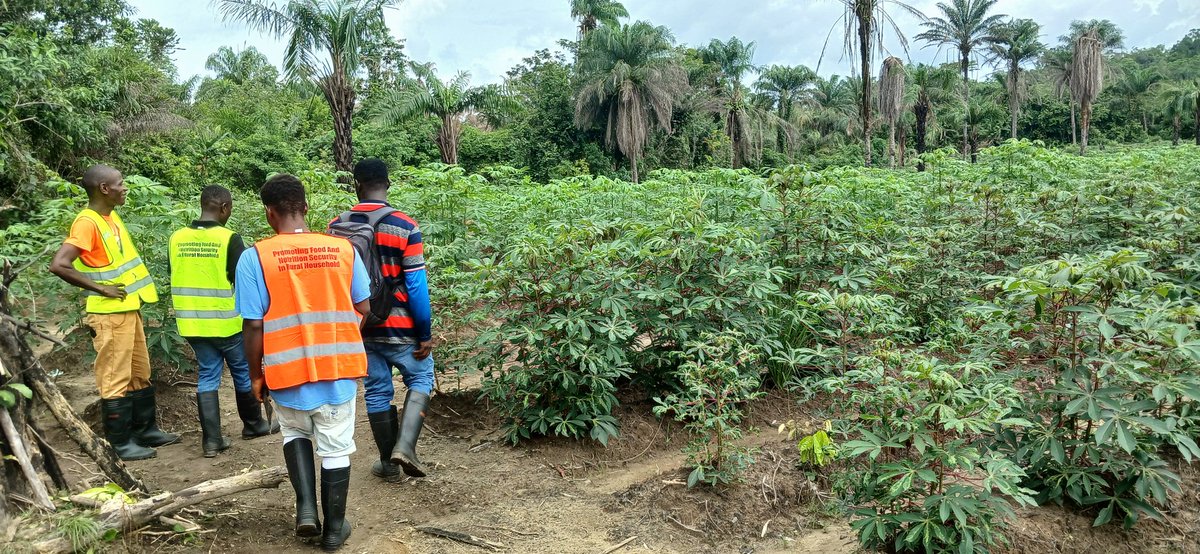 WHH Liberia - Welthungerhilfe tweet media