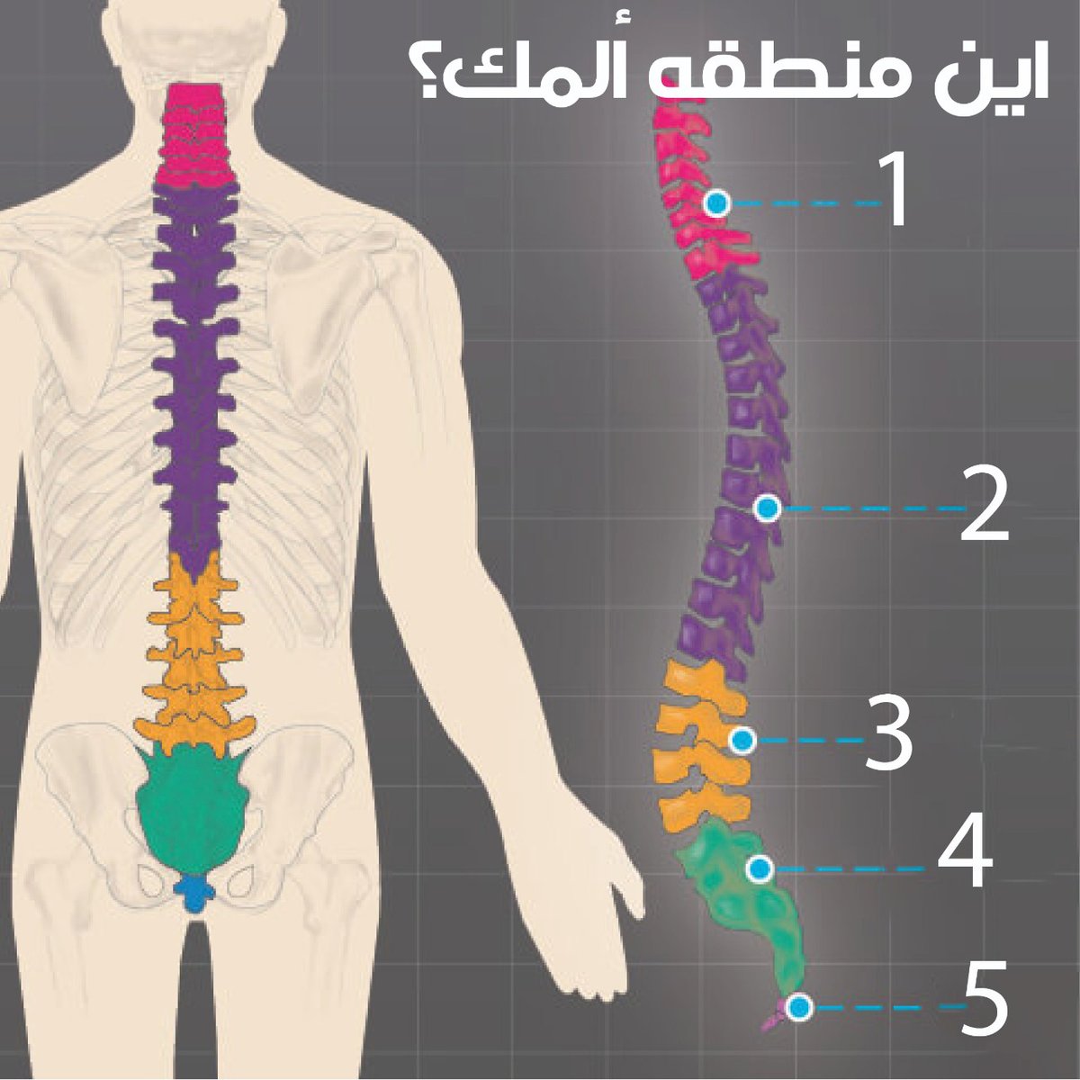 basemhenri's tweet photo. مريضنا العزيز ، شاركنا بالمنطقة التي تشعر فيها بالألم لمساعدتك في تحليل اسبابه و طرق علاجه https://t.co/v7Q5jZhUJo