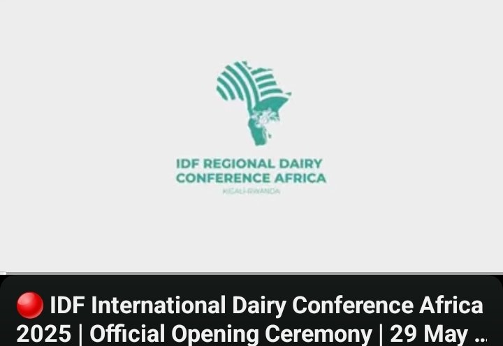 🚨 Happening Today in Kigali!
The IDF Regional Dairy Conference Africa 2025 officially kicks off! 🐄
Experts, policymakers, and stakeholders from across Africa &amp; beyond gather to shape the future of the dairy sector.
Live: youtube.com/live/KOOaTrsG3…
#IDFAfrica2025