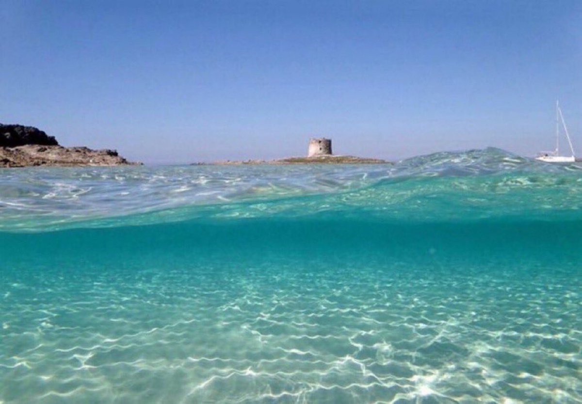 la peau douce tweet media