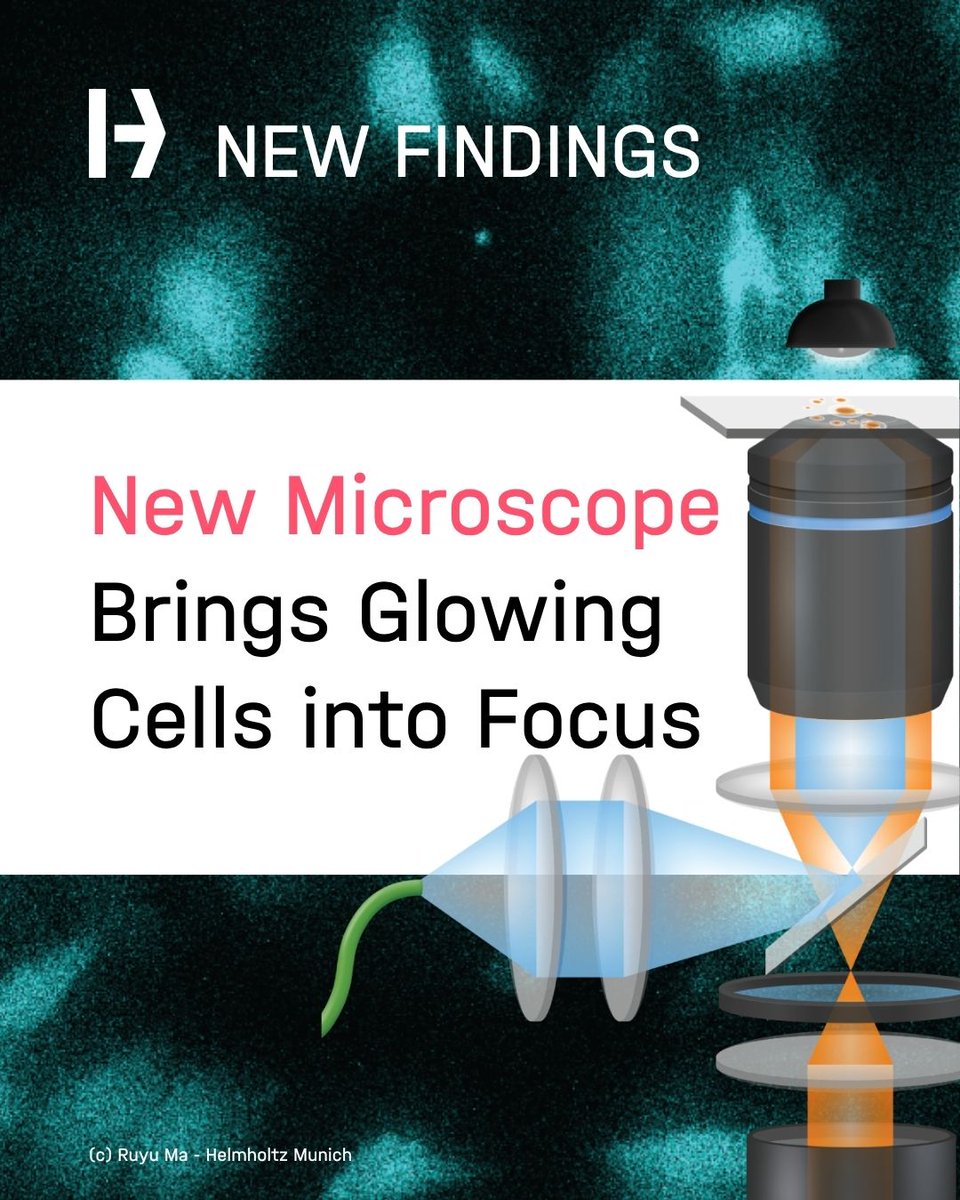 Helmholtz Munich | @HelmholtzMunich (@helmholtzmunich) on Twitter photo 🔬 New imaging technology for live-cell research: Introducing QIScope, published <a href="/naturemethods/">Nature Methods</a>.
A team of researchers from Helmholtz Munich and <a href="/TU_Muenchen/">TU München</a> has developed a novel microscope that enables highly sensitive imaging of bioluminescent signals in living cells.
👉 🔬 New imaging technology for live-cell research: Introducing QIScope, published <a href="/naturemethods/">Nature Methods</a>.
A team of researchers from Helmholtz Munich and <a href="/TU_Muenchen/">TU München</a> has developed a novel microscope that enables highly sensitive imaging of bioluminescent signals in living cells.
👉