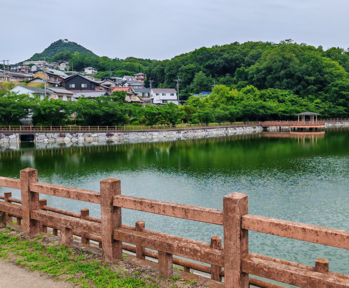 A veces, una escritora solo necesita perderse en una isla de Japón para desconectar y escribir en paz 😅
