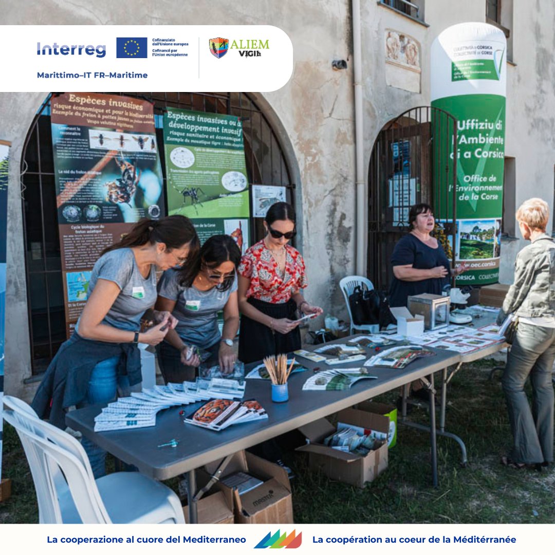 📢 Focus sui progetti 21-27 ! / Zoom sur les projets 21-27 !

🔍 ALIEM VIGIL
🔗interreg-marittimo.eu/web/aliem-vigi…
💡 Seguici per scoprire tutti i progetti! / Suivez-nous pour découvrir tous les projets

#CohesionPolicy #Interreg

<a href="/RegioInterreg/">EU Regio Interreg</a>