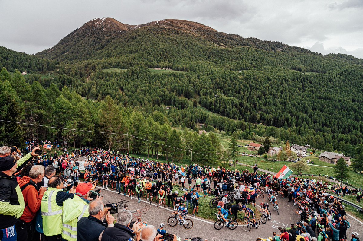 Gabriele Gianuzzi tweet media