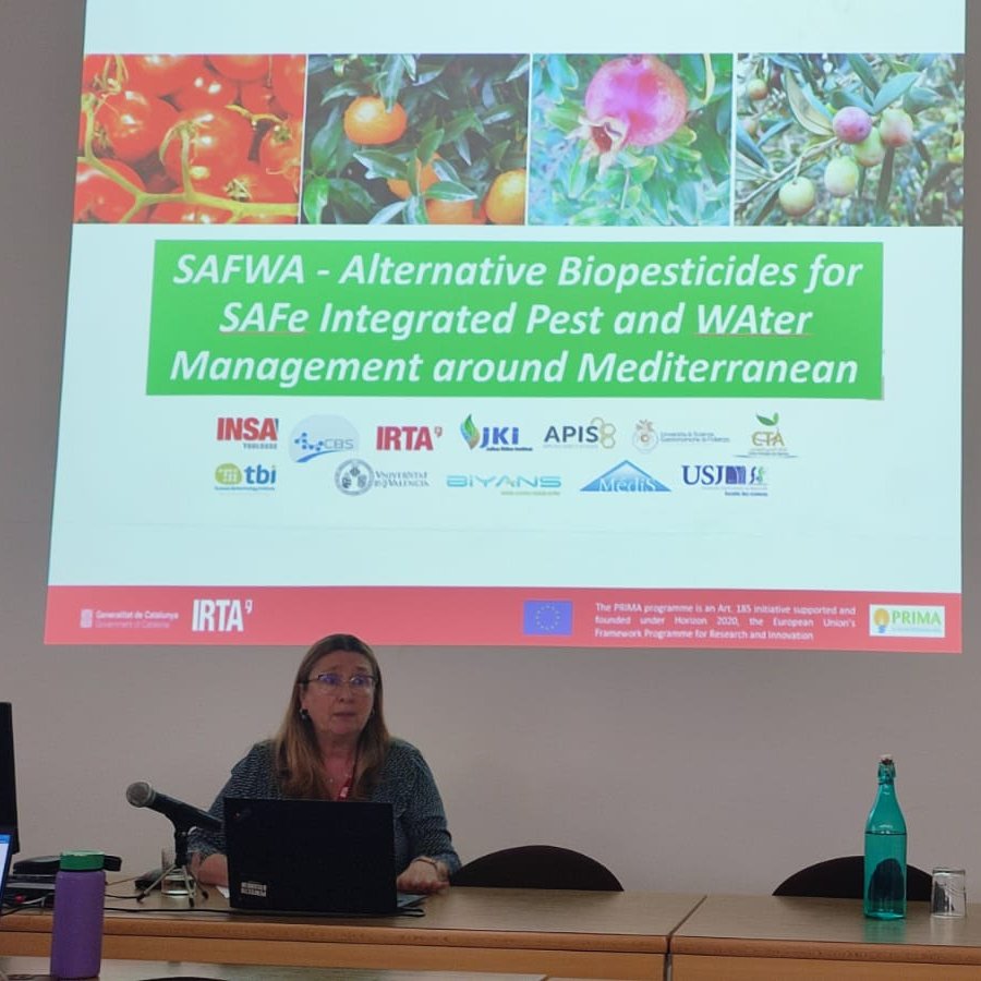 Sharing with Technicians and Pest Advisors sustainable practices for pest control in olive crops from SAFWA project: bioproducts, ground cover management or spray machinery adjustment. #Biopesticides #SAFWA <a href="/PrimaProgram/">PRIMA Program Mediterranean Partnership 🇪🇺</a>