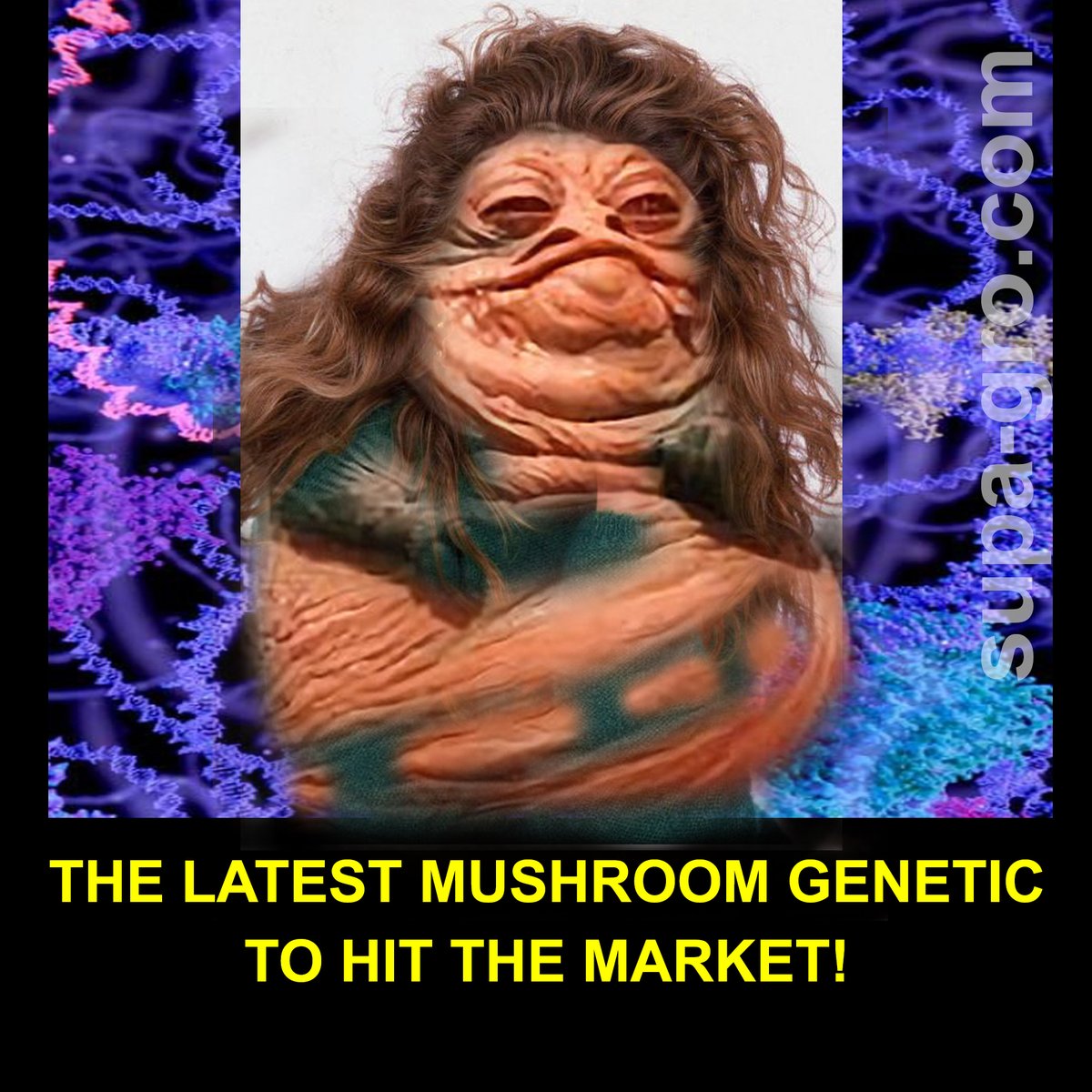 If you are into the new stylings in mushroom genetics🤣🤣🤣