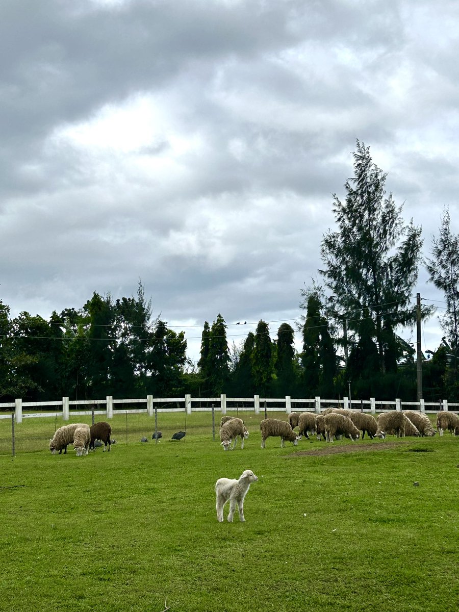 lost. 
#photography #naturephotography