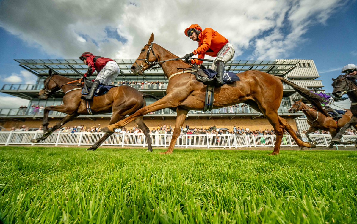 Our Season finale is less than 2 weeks away on Tuesday 10th June. Why not upgrade your experience to Premier Viewing in the Premier Grandstand with stunning views across the track.