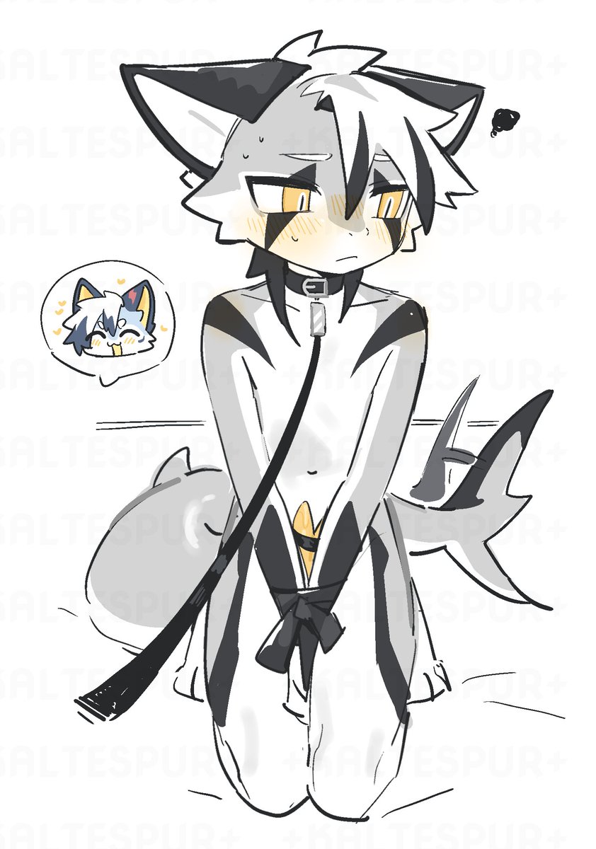 +SPUR+ (@spur241117) on Twitter photo 抓到一隻小鯊魚 抓到一隻小鯊魚