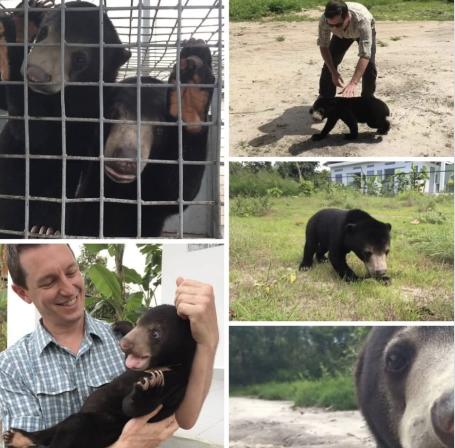 Watch The Project tonight with a LIVE update from Rove McManus in a cage, raising awareness of the plight of threatened bears in bear bile farms &amp; the illegal wildlife trade. Good luck Rove, we hope you survive your Night In A Cage!
night-in-a-cage-2025.raiselysite.com/rove-mcmanus