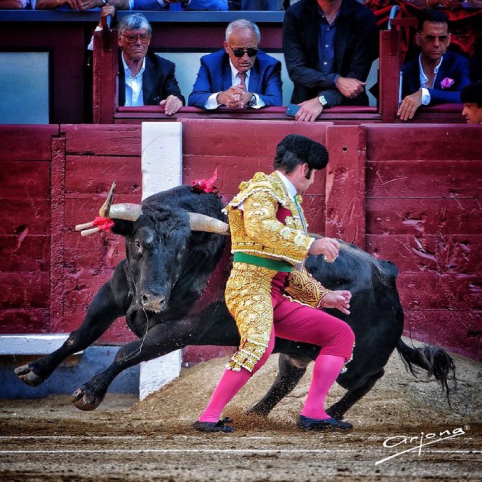 En este momento, todos sabíamos que Morante iba a formar un lío en Madrid. Nos regalo una obra de arte, para mi la mejor faena de San Isidro.