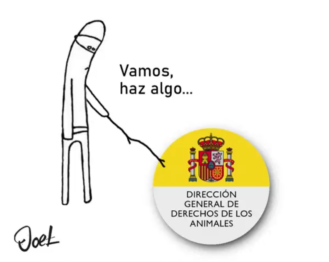 ⅃ɵ෴eL🪶 tweet media