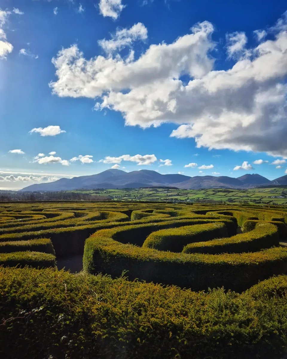 Immerso nel cuore della contea di Down, nell'Irlanda del Nord, il Castlewellan Forest Park si estende su 460 ettari di paesaggio vario, offrendo avventura e tranquillità.

📍Castlewellan Forest Park, Contea di Down
📸 instagram.com/il_piccolo_gal…