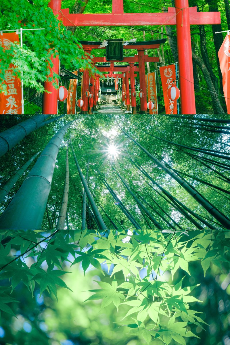 清々しい風が吹いた。