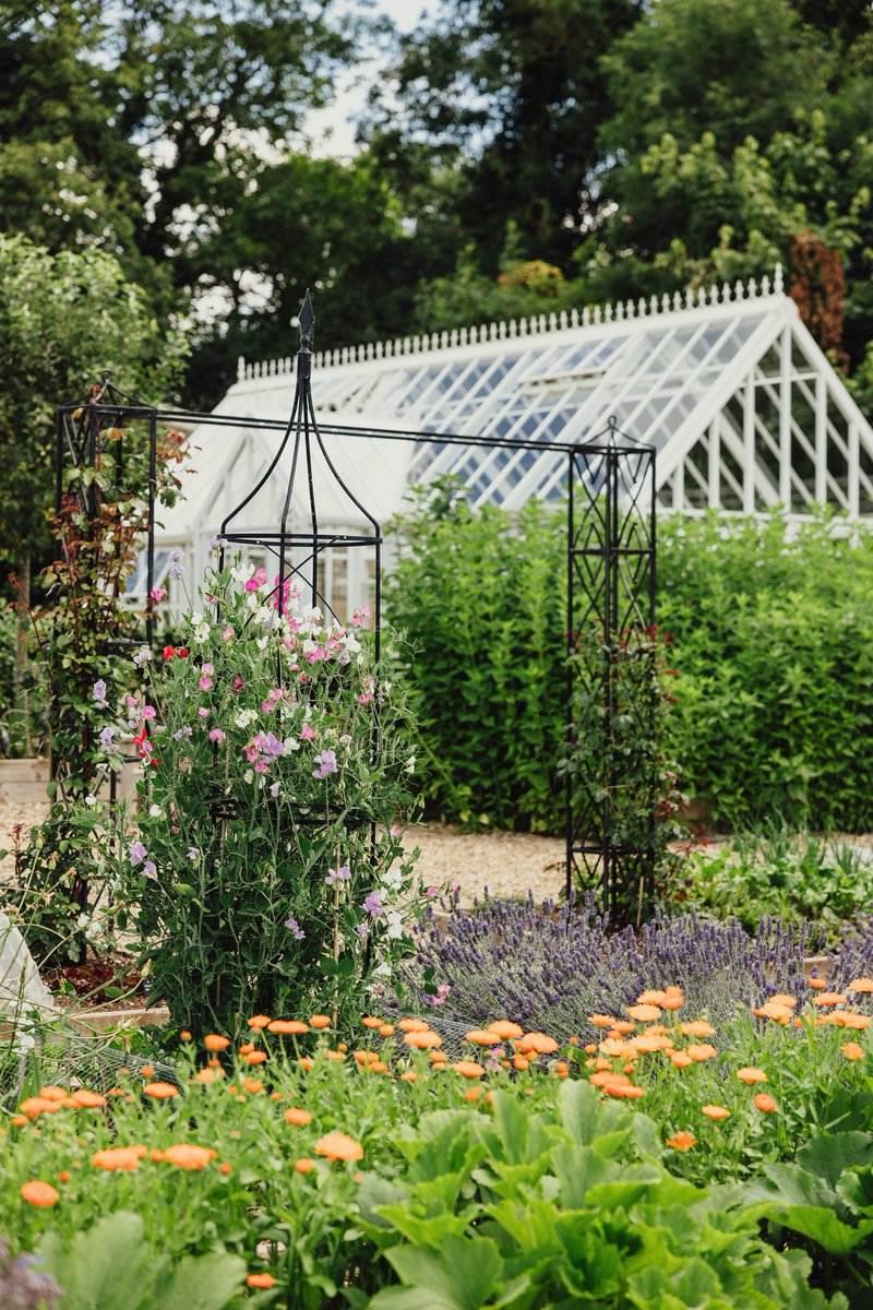 Hambleton Hall Hotel tweet media