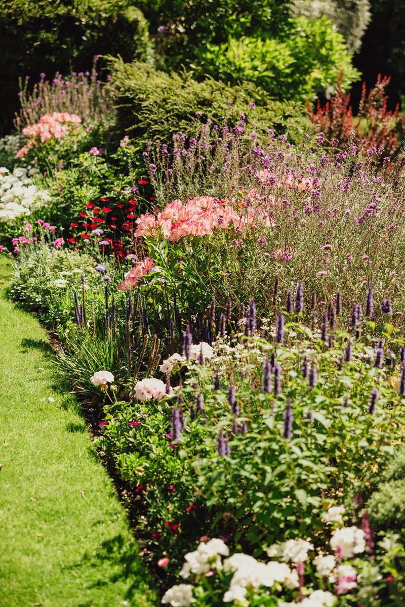 Hambleton Hall Hotel tweet media