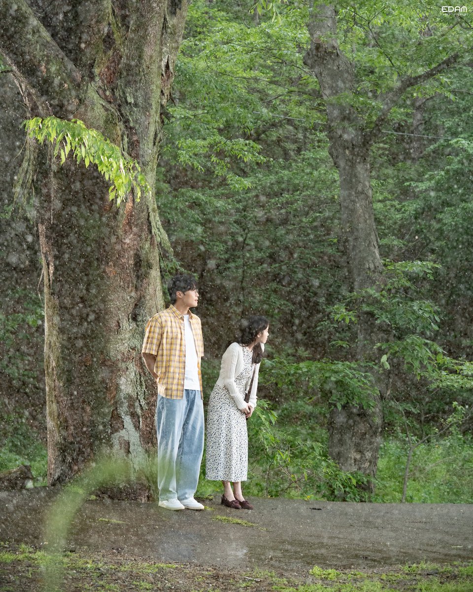 아이유(IU) tweet media