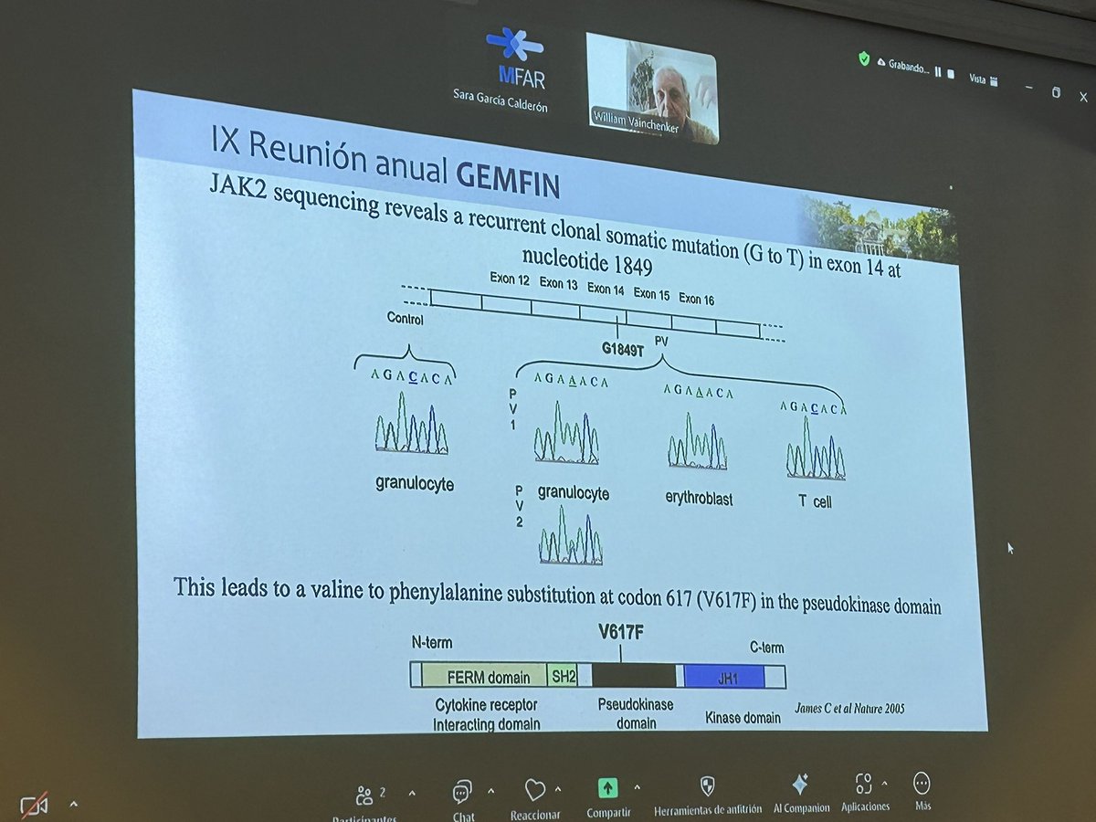 jvalentingg's tweet photo. Outstanding talk by Dr. William Vainchenker at the GEMFIN Annual Meeting:
“Twenty years since the discovery of JAK2 V617F. Molecular advances in MPNs since then.”
A privilege to learn from one of the pioneers in the field. #MPNs #JAK2 #Hematology #GEMFIN2025 https://t.co/9fcC1wVnMY