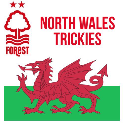 North Wales Trickies tweet media