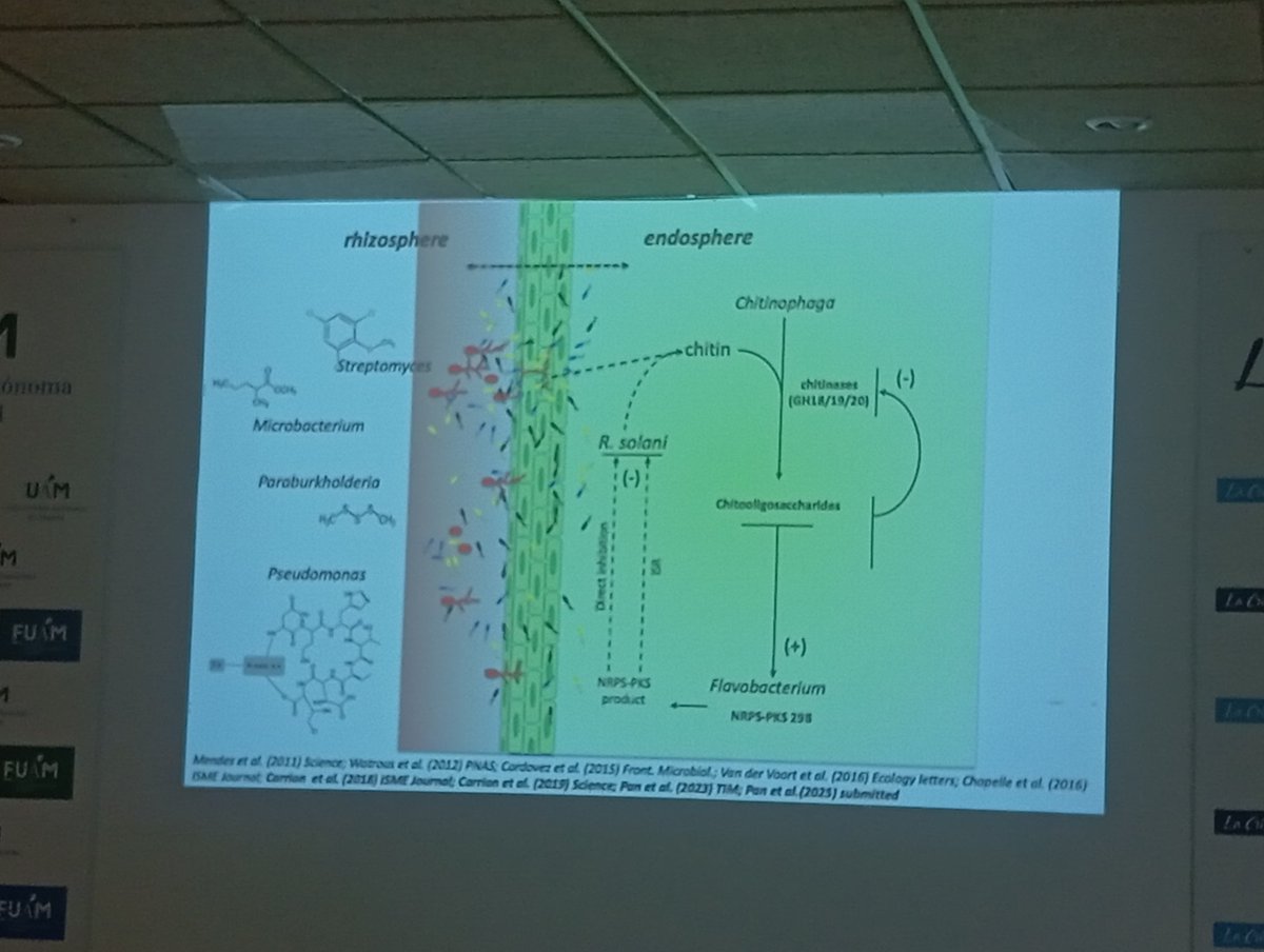 Cultivos Emergentes (@nutricropspain) on Twitter photo Seguimos profundizando en ...
👉 Funcional understanding of #plantmicrobiomes
By #VictorCarrion from <a href="/InfoUMA/">Universidad de Málaga</a>
#Iemergingcrop Symposium #cristaleraUAM
<a href="/CEBAS_CSIC/">CEBAS-CSIC</a> <a href="/CICYTEX/">CICYTEX</a> <a href="/UAM_Madrid/">UAM Autónoma Madrid</a> <a href="/ibis_sevilla/">IBiS</a> <a href="/ITACYL/">Innovación agroalimentaria - JCyL</a> <a href="/redplantmicro/">redplantmicro</a> <a href="/iata_csic/">IATA CSIC</a> <a href="/IAS_CSIC/">IAS-CSIC</a> <a href="/irtacat/">IRTA</a> <a href="/ibis_sevilla/">IBiS</a> Seguimos profundizando en ...
👉 Funcional understanding of #plantmicrobiomes
By #VictorCarrion from <a href="/InfoUMA/">Universidad de Málaga</a>
#Iemergingcrop Symposium #cristaleraUAM
<a href="/CEBAS_CSIC/">CEBAS-CSIC</a> <a href="/CICYTEX/">CICYTEX</a> <a href="/UAM_Madrid/">UAM Autónoma Madrid</a> <a href="/ibis_sevilla/">IBiS</a> <a href="/ITACYL/">Innovación agroalimentaria - JCyL</a> <a href="/redplantmicro/">redplantmicro</a> <a href="/iata_csic/">IATA CSIC</a> <a href="/IAS_CSIC/">IAS-CSIC</a> <a href="/irtacat/">IRTA</a> <a href="/ibis_sevilla/">IBiS</a>