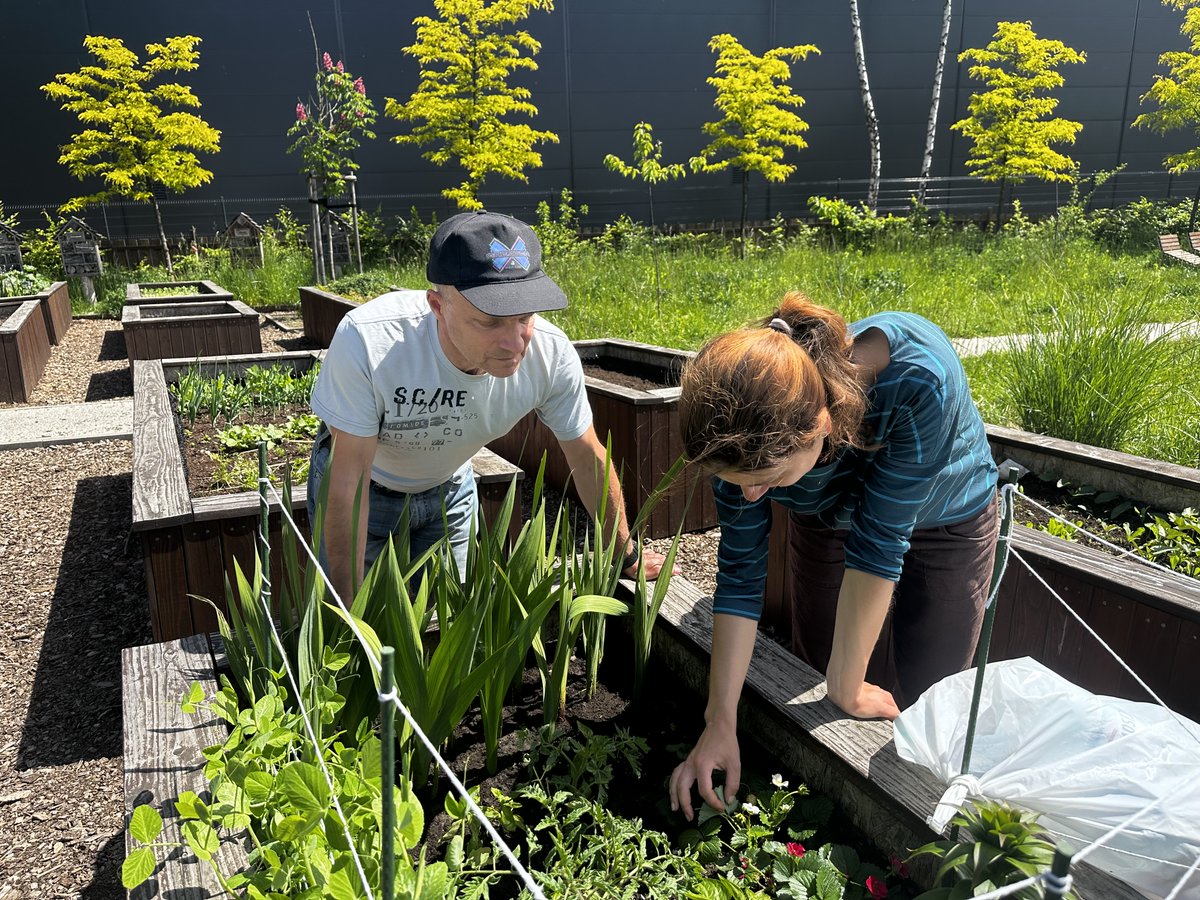 UNHCRInnovation's tweet image. 🫂 Psychological support can be essential to help refugees rebuild their lives.
This #MentalHealthAwarenessMonth we spotlight how #naturebasedsolutions can support mental health & resilience in fragile settings.
📖 medium.com/unhcr-innovati…
