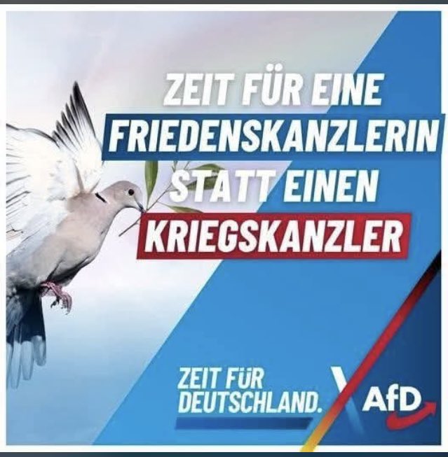 erdbeerbuegler's tweet photo. 💙🇩🇪🙏 https://t.co/iT1cT0JsId