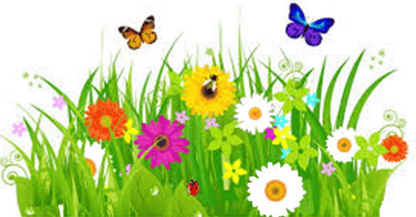 wbergholt's tweet photo. St Mary's News update this month starts with a message on the topic of Joyful June. It also talks about prayer spaces for Heathlands School, Eco-matters and more...

https://t.co/4gWTWrYIFD https://t.co/vrmaul2oOQ