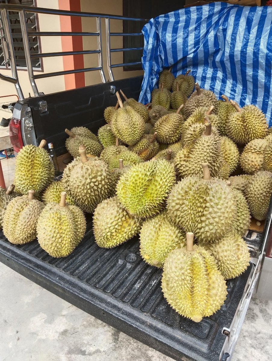 khu22705's tweet photo. ลงที่เดียวหมด กลับบ้านนอนเอากันสบายใจ https://t.co/FEsqTzBnrH