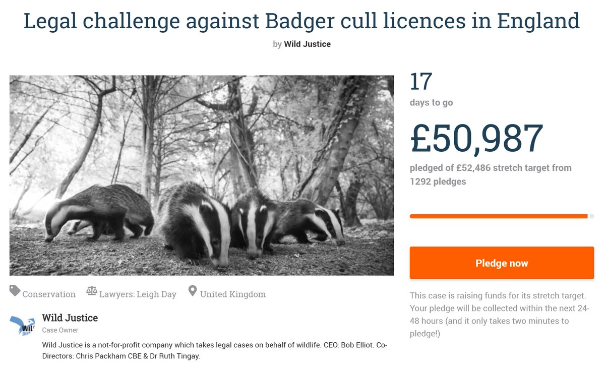 We've had a magnificent response to our Badger crowdfunder. Thank you to our brilliant supporters.

Stripeys 1, Natural England 0.

Can you help us raise the last £1,500? ➡️crowdjustice.com/case/legal-cha…

wildjustice.org.uk/general/badger…