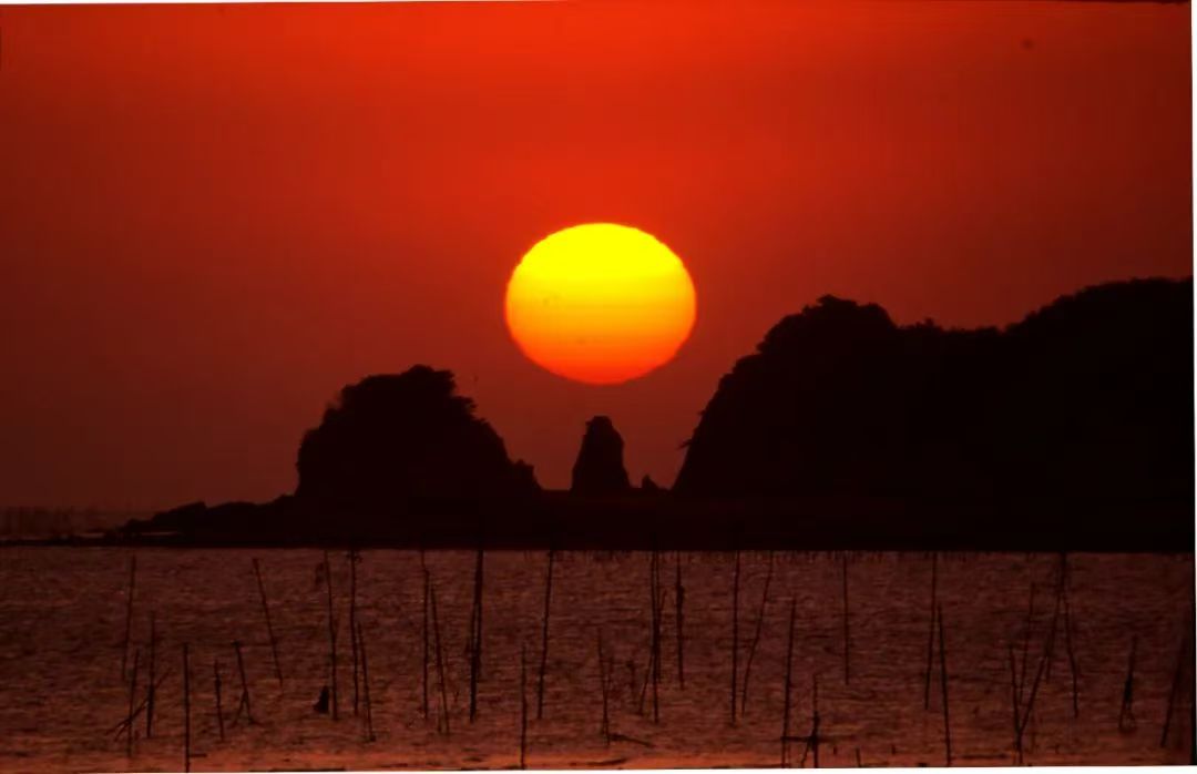 iRizhao's tweet photo. 🌅Are you a #nature lover? If so, you simply can't miss the breathtaking #sunrises and #sunsets in #Rizhao and its #sistercity of Dangjin, South Korea. 

🌊🌞These two coastal gems will fulfill your wildest dreams of the #sun and #sea. #IFCCE #Shandong https://t.co/hQ4mhFXso3