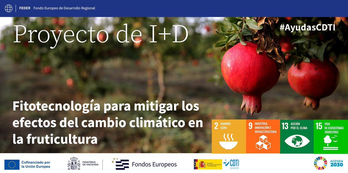 @CDTI_innovacion (@cdti_innovacion) on Twitter photo 🚀Impulsamos la #innovación con #AyudasCDTI respaldando iniciativas transformadoras como la de <a href="/grupocatala_/">Grupo Català</a>, <a href="/OrganicosPedrin/">Orgánicos Pedrín</a>, <a href="/AlltechSpain/">Alltech Spain</a>, <a href="/ideagro/">IDEAGRO</a>
🌳Un proyecto colaborativo que aplica la #fitotecnología para combatir el estrés oxidativo y sus efectos sobre especies 🚀Impulsamos la #innovación con #AyudasCDTI respaldando iniciativas transformadoras como la de <a href="/grupocatala_/">Grupo Català</a>, <a href="/OrganicosPedrin/">Orgánicos Pedrín</a>, <a href="/AlltechSpain/">Alltech Spain</a>, <a href="/ideagro/">IDEAGRO</a>
🌳Un proyecto colaborativo que aplica la #fitotecnología para combatir el estrés oxidativo y sus efectos sobre especies